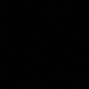 Meet your Posher, Evan